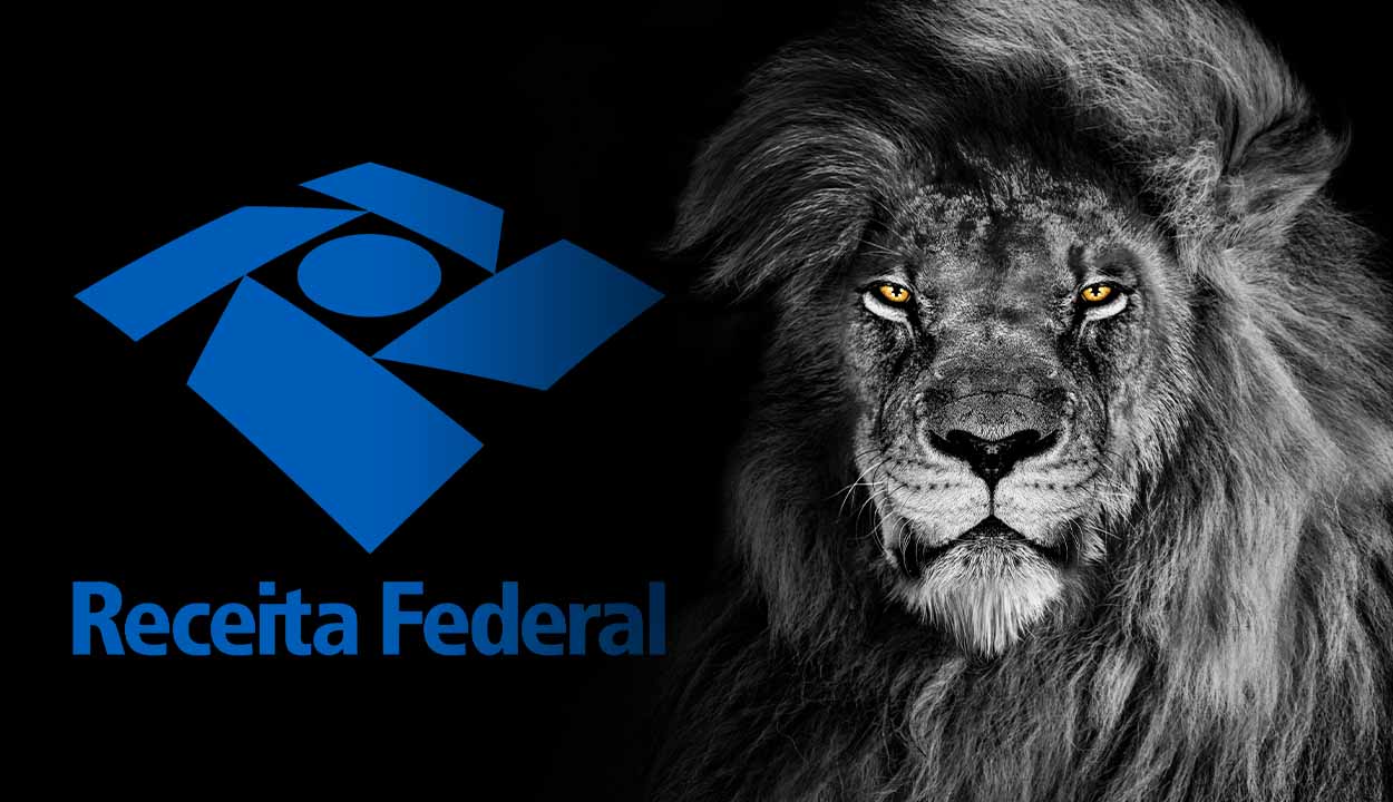 Leao Imposto De Renda - CONX Contadores Associados